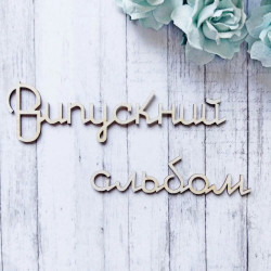 Чіпборд Valeo Випускний альбом 122*33мм 94*22мм V10561