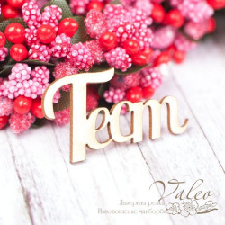 Чіпборд Valeo Тест 33*18мм V1566