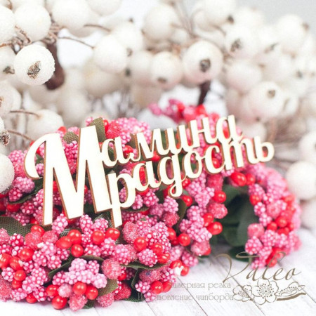 Чіпборд Valeo Мамина радість 86*34мм V1576