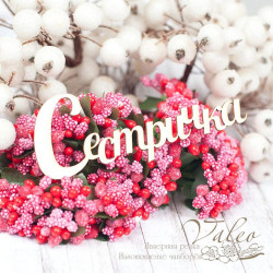 Чіпборд Valeo Сестричка 93*35мм V1586