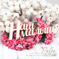 Чіпборд Valeo Наш малюк 111*39мм V1588