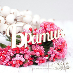 Чіпборд Valeo Братик 76*30мм V1589