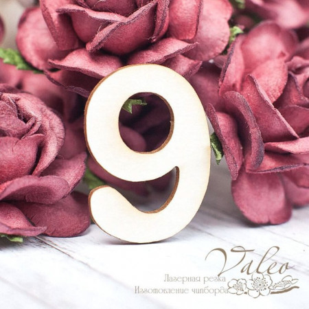 Чіпборд Valeo Цифра 9 21*30мм V1600