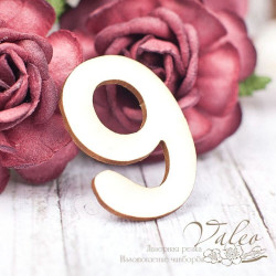 Чіпборд Valeo Цифра 9 21*30мм V1600