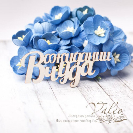 Чіпборд Valeo В очікуванні дива 63 * 25мм V2777