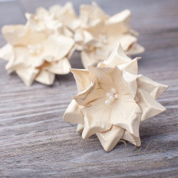 Гарденія Valeo 35мм шампань 1шт V2904