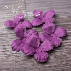 Набір квітів Valeo Польові паперові 35*35мм сливовий 5шт V2917