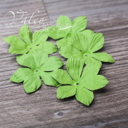 Набір квітів Valeo Польові паперові 40*40мм салатовий 5шт V10249