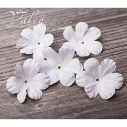 Набір квітів Valeo Польові паперові 40*40мм білий 5шт V2932