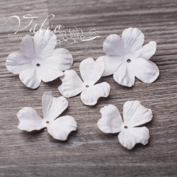 Набір квітів Valeo Польові паперові 40*40мм-2шт 30*30мм-3шт білий V2934