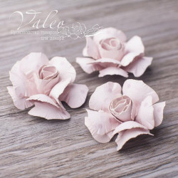 Набір квітів Valeo Троянди паперові 40*40мм латте горох 3шт V2953