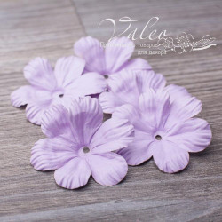Набір квітів Valeo Польові паперові 50*50мм лаванда 5шт V10294