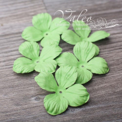 Набір квітів Valeo Гортензія паперова 35*35мм салатовий 5шт V2966
