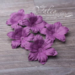 Набір квітів Valeo Польові паперові 40*40мм сливовий 5шт V2967