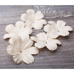 Набір квітів Valeo Польові паперові 50*50мм бежевий 5шт V2973