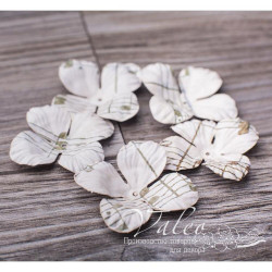 Набір квітів Valeo Гортензія паперова 35*35мм ноти 5шт V10314