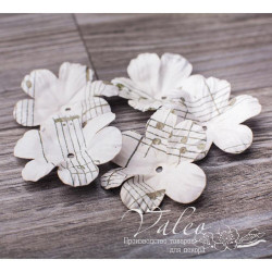 Набір квітів Valeo Польові паперові 50*50мм ноти 5шт V2995