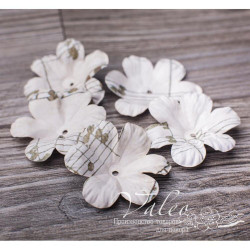 Набір квітів Valeo Польові паперові 40*40мм ноти 5шт V2996