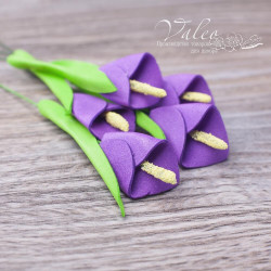 Набір квітів Valeo Калли з фоамірану 20*30мм фіолетовий 5шт V3057