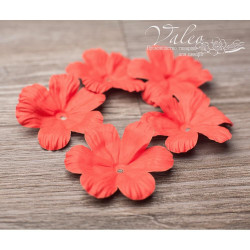 Набір квітів Valeo Польові паперові 50*50мм червоний 5шт V10426