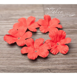 Набір квітів Valeo Польові паперові 40*40мм червоний 5шт V10427