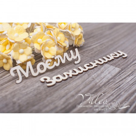 Чіпборд Valeo Моєму Захиснику 66*17мм 91*17мм V3134