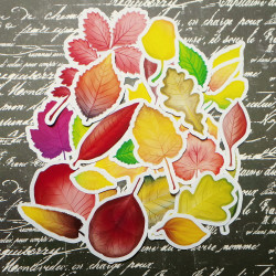 Набір висічок Осінь 2 28шт