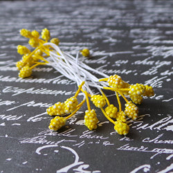 Тичинки 4мм жовті, 15шт