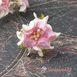 Гарденія бутон 3,5см світло-рожева/біла, 1шт