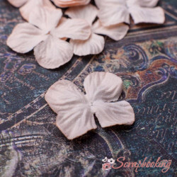 Набір кольорів гортензія 2,5см персиковий, 10шт