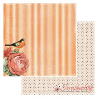 Аркуш паперу 30*30см Kaisercraft Curiosity Eccentric двосторонній