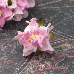 Гарденія бутон 3,5см рожева/світло-рожева, 1шт