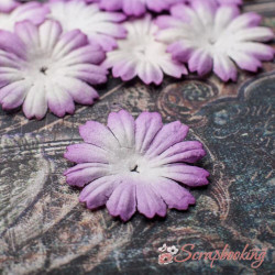 Набір квітів Маргаритка 2,5см паперова біло-лілова, 10шт