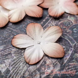 Набір квітів П'ятлистник 4см Кава з молоком, 5шт