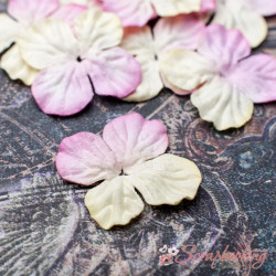 Набір кольорів гортензія 2,5см жовто-рожева, 10шт