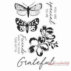 Штамп акриловий Kaisercraft 10*15см Morning Dew 