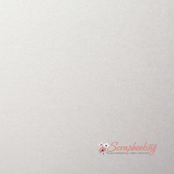 Дизайнерський картон 20*30см Перламутровий Perl Dream Tafta Світло сірий 250гр/м2