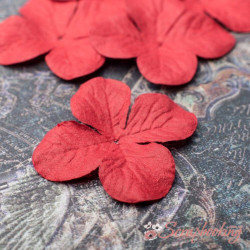 Набір кольорів гортензія 3,2см червона, 5шт