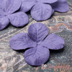 Набір кольорів гортензія 3,2см фіолетова, 5шт