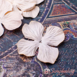 Набір кольорів гортензія 3,2см бежева, 5шт