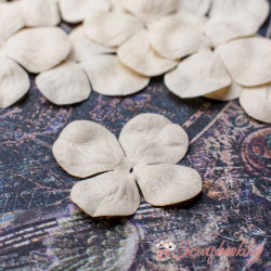 Набір кольорів гортензія 2,5см бежевий, 10шт