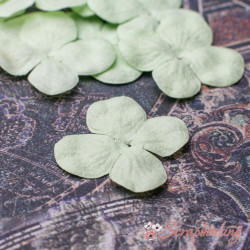 Набір кольорів гортензія 2,5см зелений світлий, 10шт