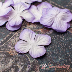 Набір кольорів гортензія 2,5см біло-фіолетова, 10шт