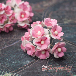 Букет Sweetheart рожеві, 10шт