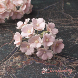 Букет Sweetheart світло-рожеві, 10шт