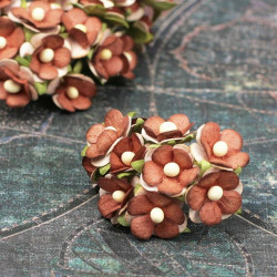 Букет Sweetheart тютюнові, 10шт