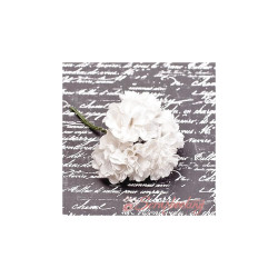 Букет астр Paper Millinery White, 6шт