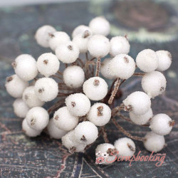 Гілочка декоративна мк6266 ягоди з присипкою білий, 40шт