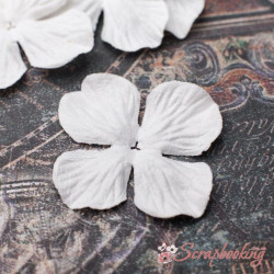 Набір кольорів гортензія 3,2см біла, 5шт