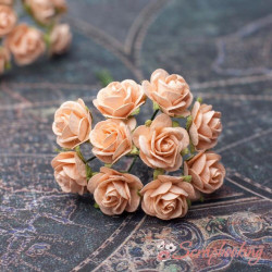 Букет троянд Open Roses 15мм персиковий, 10шт